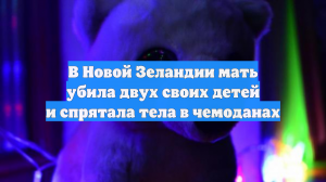 В Новой Зеландии мать убила двух своих детей и спрятала тела в чемоданах