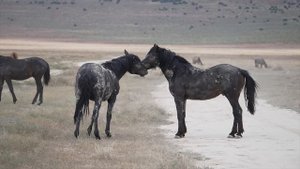 Вонять не норма… ЭТОГО не знают 99% людей…