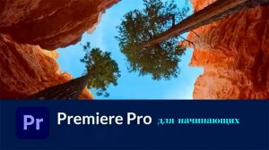 Руководство по Premiere Pro для начинающих
