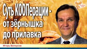 Суть КООПерации — от зёрнышка до прилавка