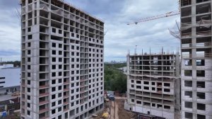 Студия в лесной симфонии