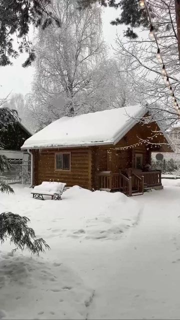 Новогоднее настроение 🥰🎄 смотреть онлайн