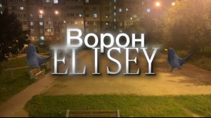 Сниппет - Ворон - Елисей