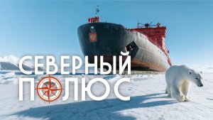 Полюс: Мечта о Севере. Путешествие на атомном ледоколе глазами члена команды