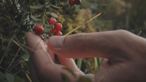 Я люблю тебя, Кабардино-Балкария! Кабардино-Балкарская Республика