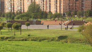 Общественные слушания могут стать обязательными в России
