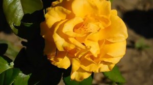 22==09==2025 ПВН КМР (39)