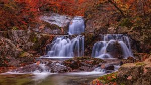 ФУТАЖ  - ЗОЛОТАЯ ОСЕНЬ  ВОДОПАД