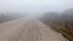 туманное утро