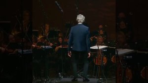 Необычный дирижер оркестра!