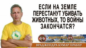 Если на Земле перестанут убивать животных, то войны закончатся?