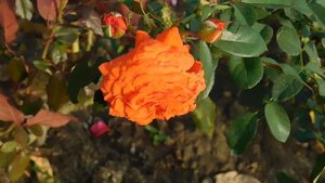 19=09=2025  кмр   (165)