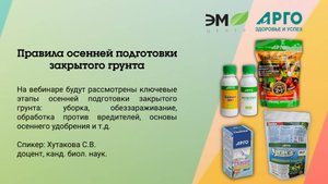 Правила осенней подготовки закрытого грунта