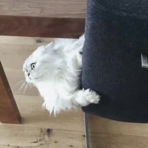 Когда услышал крики и собственное имя😅