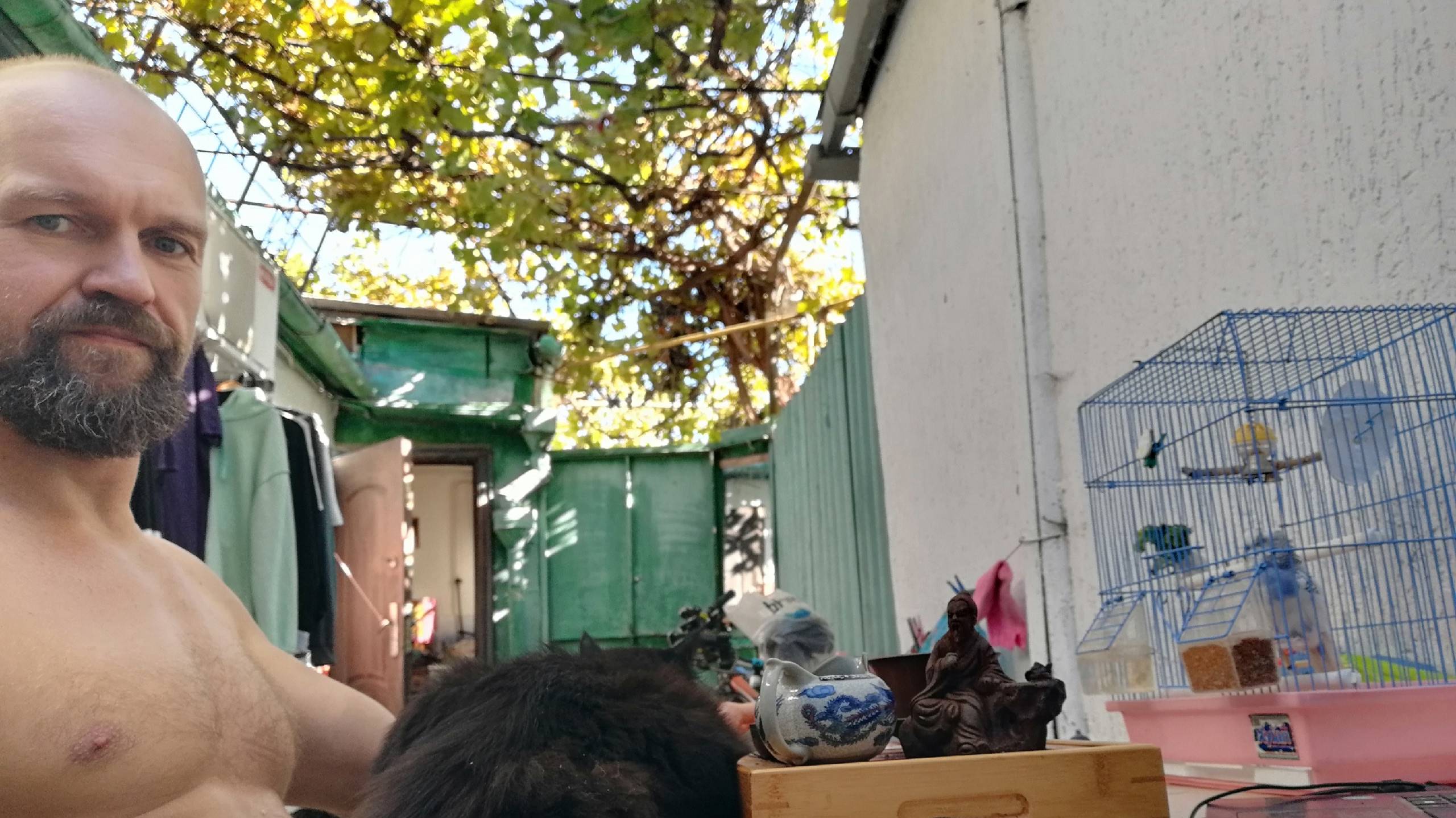 Чайный стрим. Звук есть!