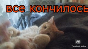 кончилось все, пришлось идти покупать