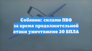 Собянин: силами ПВО за время продолжительной атаки уничтожено 30 БПЛА