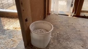 Ферма.Гармония и уют🌶️🫑🥒🫛🥦🌽🥕🐓🐤🦆🦚🍆🥔🦃🐔🍅🫒