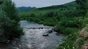 Кто тебе дороже, мама или я.