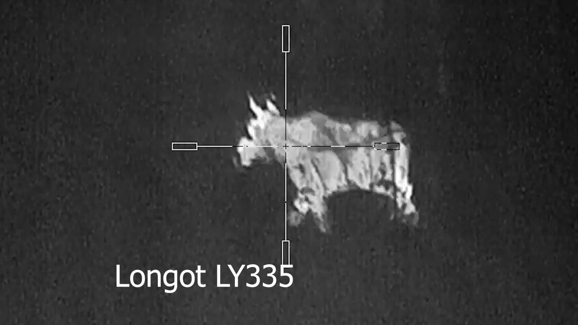 Охота на лося на реву \ Зверь есть, активности нет