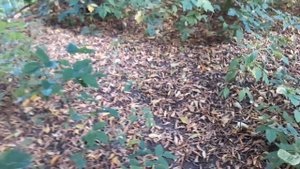 На улице хорошо.