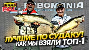 Как мы взяли топ-1 в день судака! BetBoom PAL2025 | Пермь, 1 ЭТАП, 2 ТУР