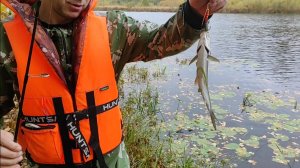 Киров, оз.Подгорное. Рыбалка с байдарки на спиннинг