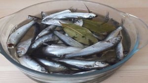 Килька пряного посола