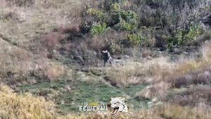 🥇 Герои среди нас