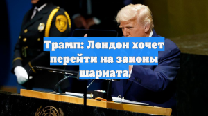 Трамп: Лондон хочет перейти на законы шариата