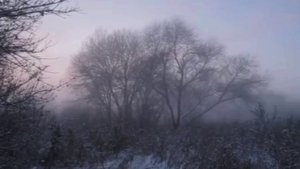 Спокойная зимняя красота