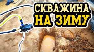 Абиссинка на круглый год без утепления