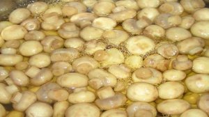 Маринованные грибочки на зиму