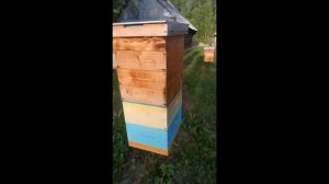 Отличные подставки под ульи,
"куриная ножка".