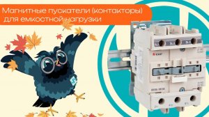 Магнитные пускатели (контакторы) для емкостной нагрузки  - Олниса