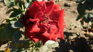 22==09==2025 ПВН КМР (45)