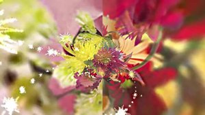 Видеофоны! Видеофон Осенняя цветочная фантазия 9 от Киностудии Мудрого Кота Тимофея!