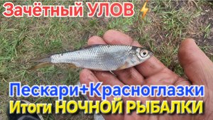 ⚡️Обзор НОЧНОГО УЛОВА на "Платнике"🔥Бешеный КЛЁВ был...⚡️Рыбачим в Пензенской обл.!!!