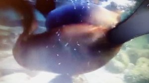 Не войти нам в реку одну дважды. читает автор Богдан Бандура.