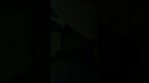сплю