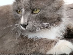 мы гуляем 😁😁😁😁😁