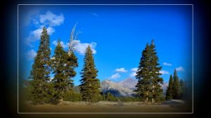 Shinnobu - Angeli Hierusalem