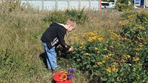 Кобелев Солнышка в душе