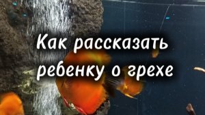 Как рассказать ребенку о грехе