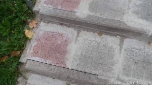 Ремонт ступеней от "незаменимых специалистов" в городе Красногорске.