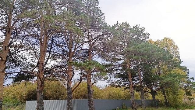 Мотивирую