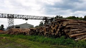 Производство атмосферная сушка, ДокаДвери