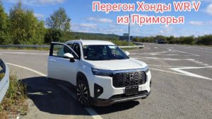 Перегон Японского Индийца из Приморья. часть 1....
