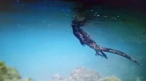 Не впущу в свое сердце обиду. читает автор Богдан Бандура.