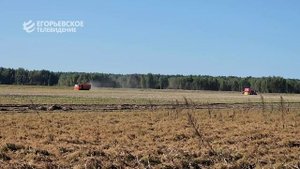 Новый многофункциональный комбайн вышел на егорьевские поля, чтобы собрать урожай картофеля